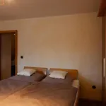 Haus Gruna Casa vacanze *